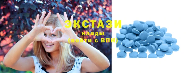 первитин Богданович