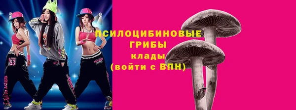 прущая мука Богородск