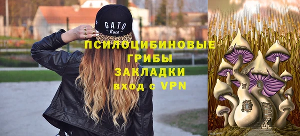 первитин Богданович