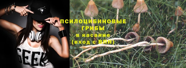 гашик Богородицк