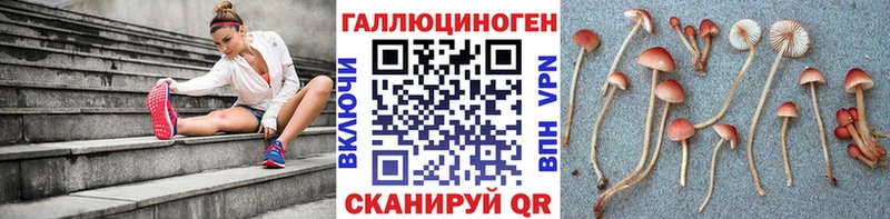 Купить  Плавск  Галлюциногенные грибы GOLDEN TEACHER 